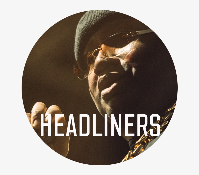 Arthurrobinson Website Headliners - Black Series Iden Versio, transparent png