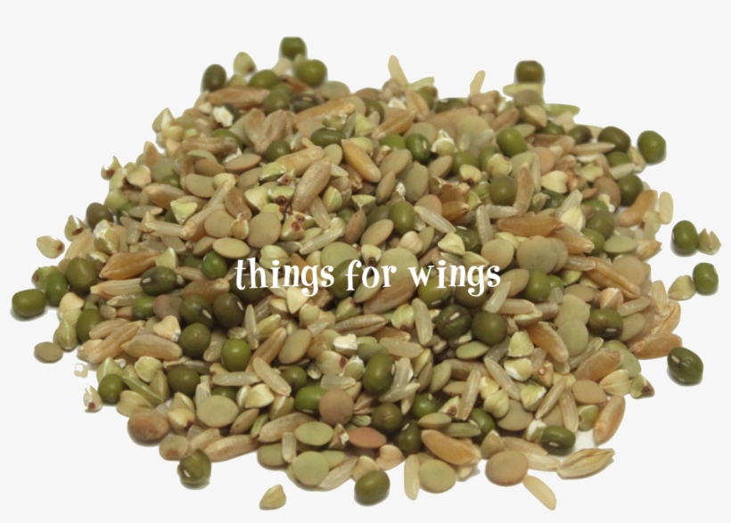 Home > Seeds > Organic Protein Power ~ Sprout Mix - Mung Bean, transparent png