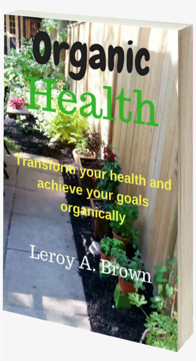 Flyer, transparent png