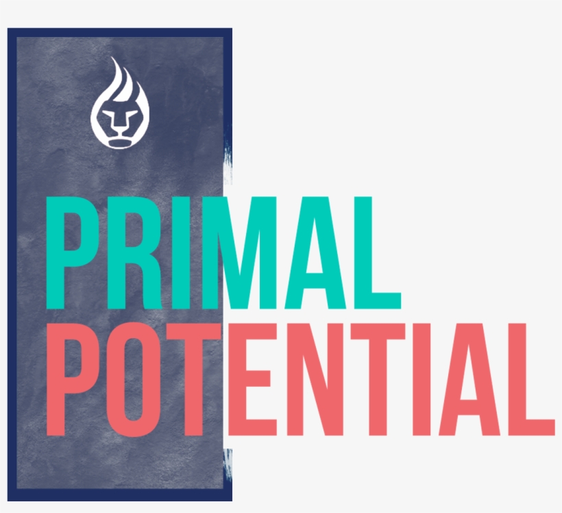 Get The Stitcher App - Graphic Design, transparent png