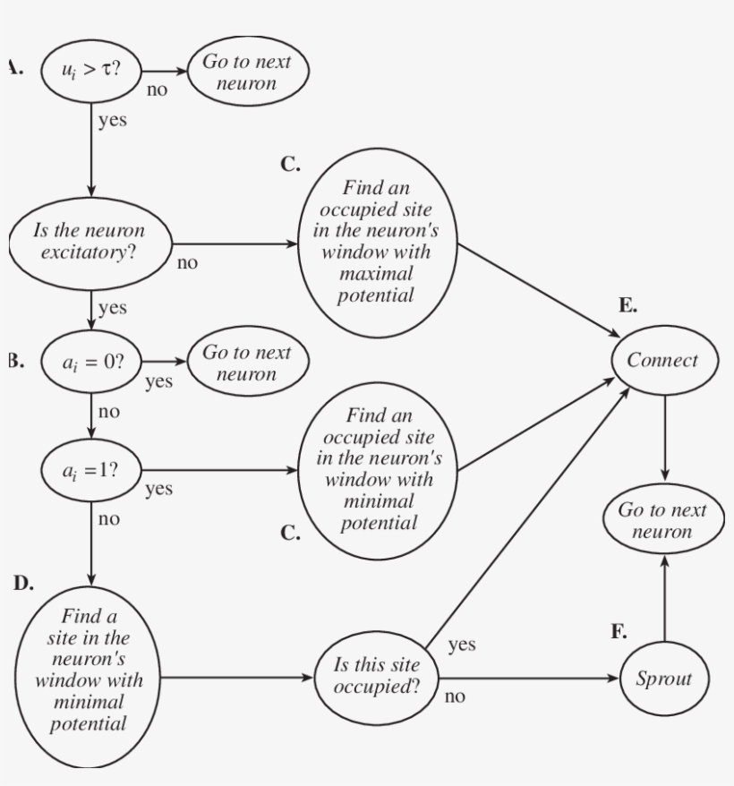Shown Here Is The Algorithm For The Decision To Sprout - Diagram, transparent png