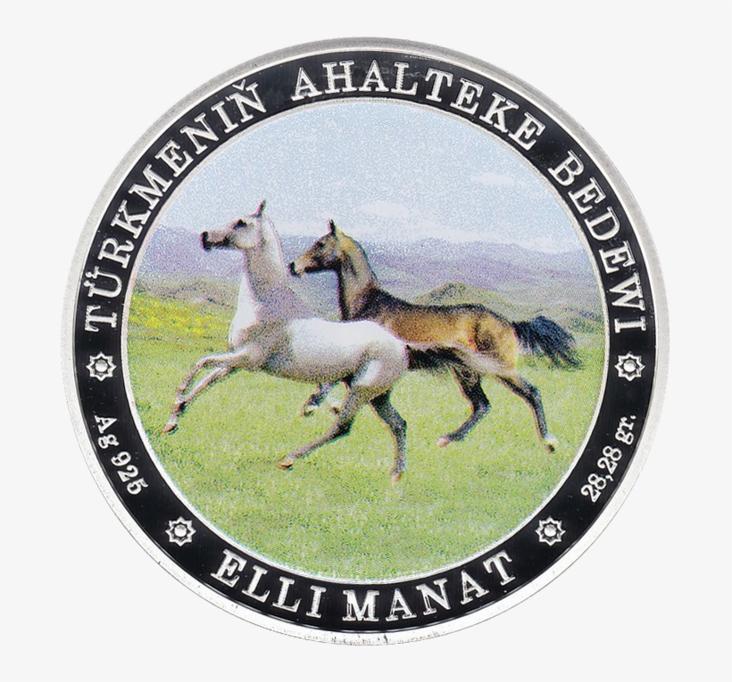Tm 2013 50manat Horse B - Apple Safari Logo Png, transparent png