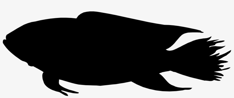 Fish Silhouette, transparent png