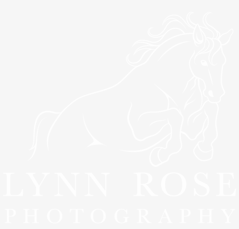 Sessions Lynn Rose Photography - Drupal Logo White, transparent png