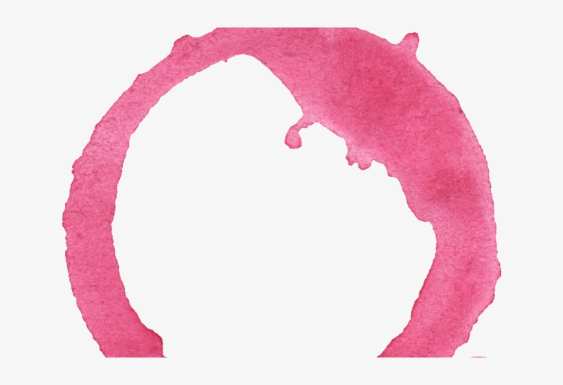 Circle Clipart Watercolor - Shrimp, transparent png
