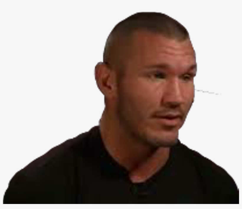 Randyorton Randalkeithorton Rko Theviper Apexpredator - Man, transparent png