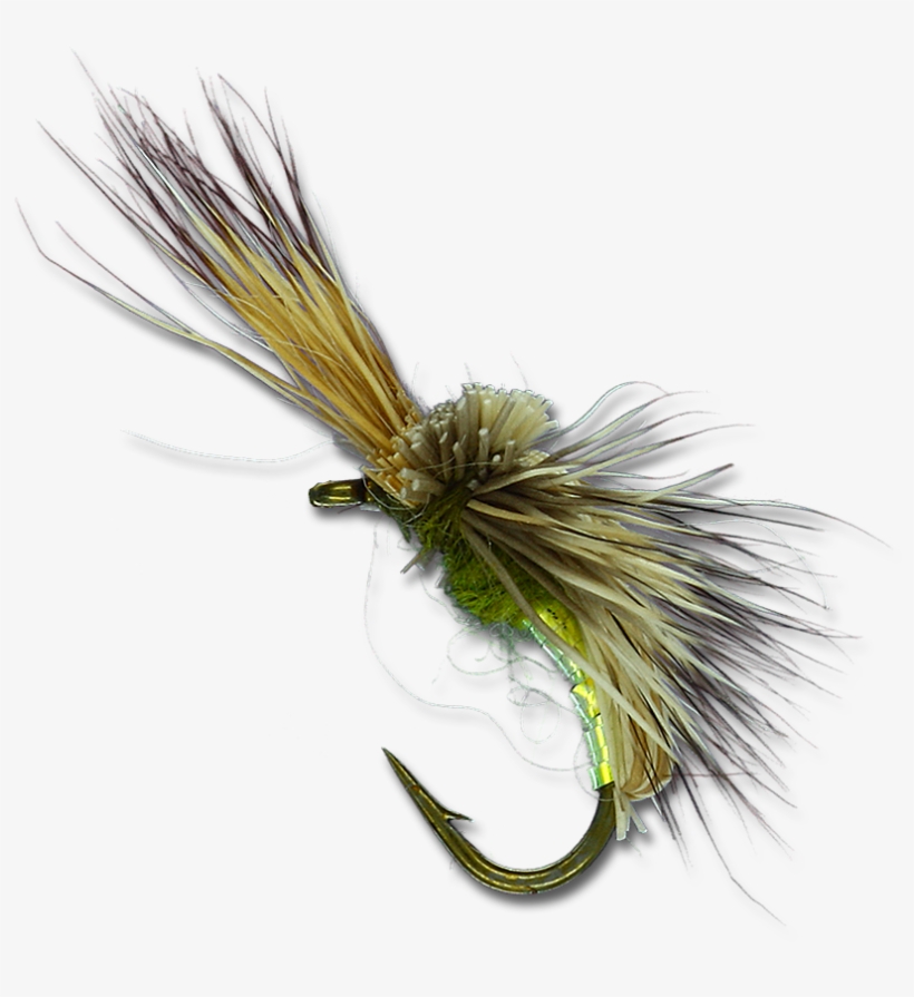 Screaming Banshee - Olive - Fish Hook, transparent png