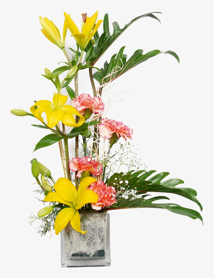 Full Width Image - Flower Pot For Studio Png, transparent png