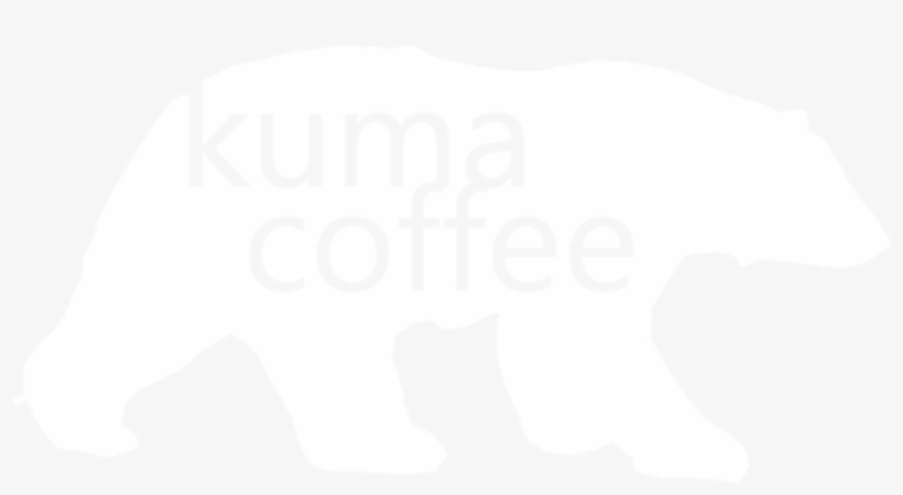 Polar Bear, transparent png