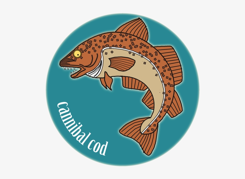 Marine Mammal, transparent png