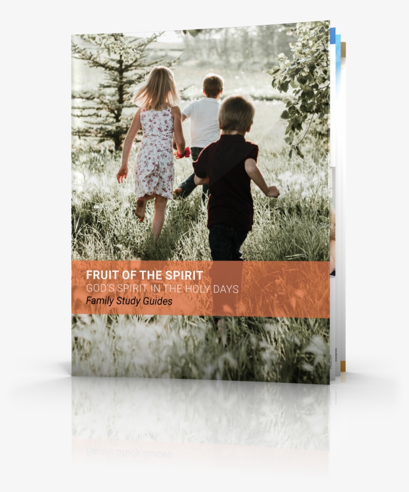 Fruit Of The Holy Spirit - Child, transparent png