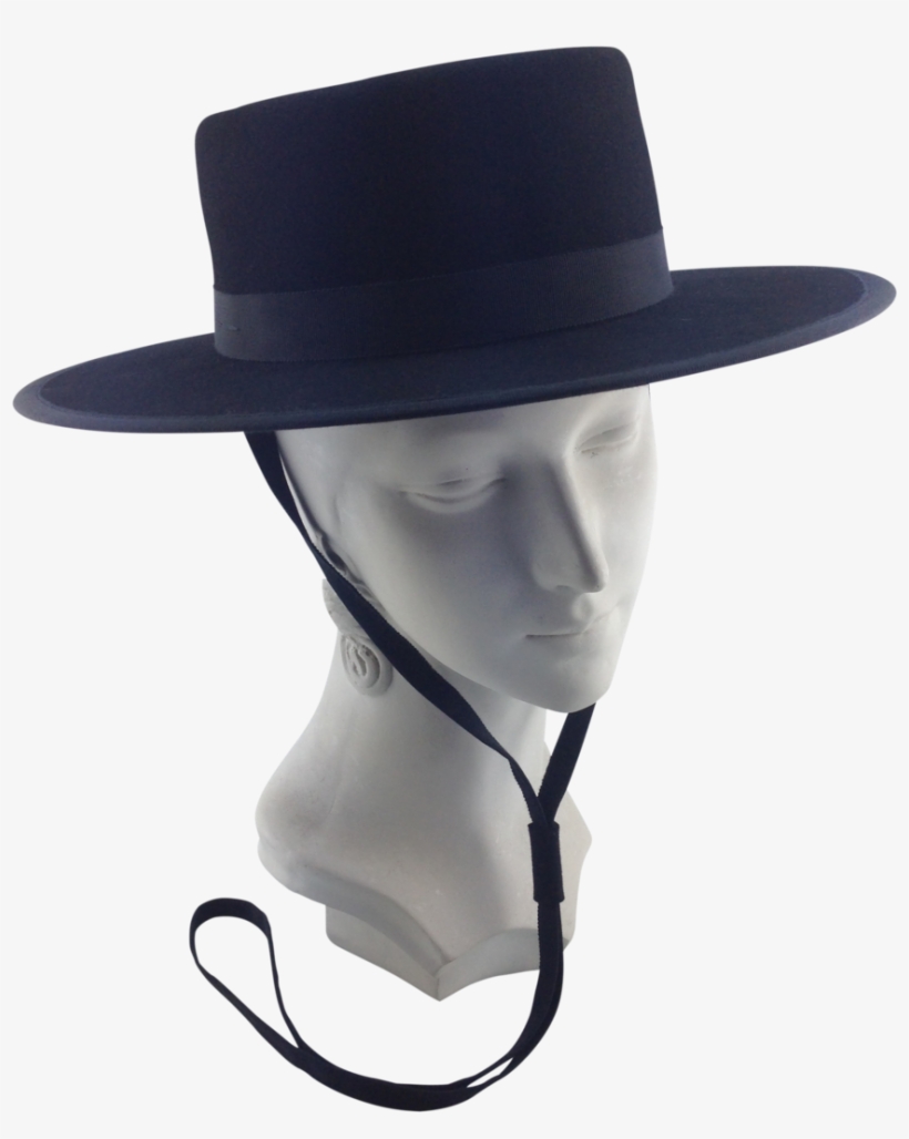 Costume Hat, transparent png