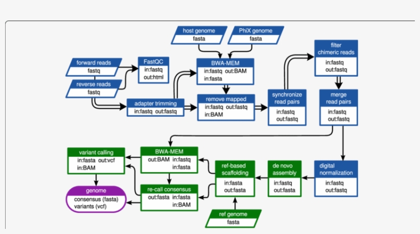 Double Arrows Indicate Steps Where The Read Pairs Were - Parallel, transparent png