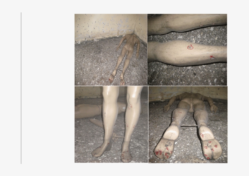 Mannequin 2 Lied Face Down On Left Opposite Corner - Paw, transparent png