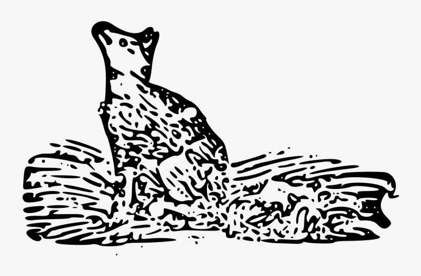 320 × 195 Pixels - Illustration, transparent png