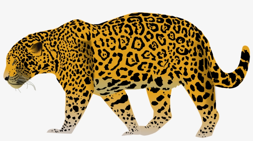 Jaguar, transparent png