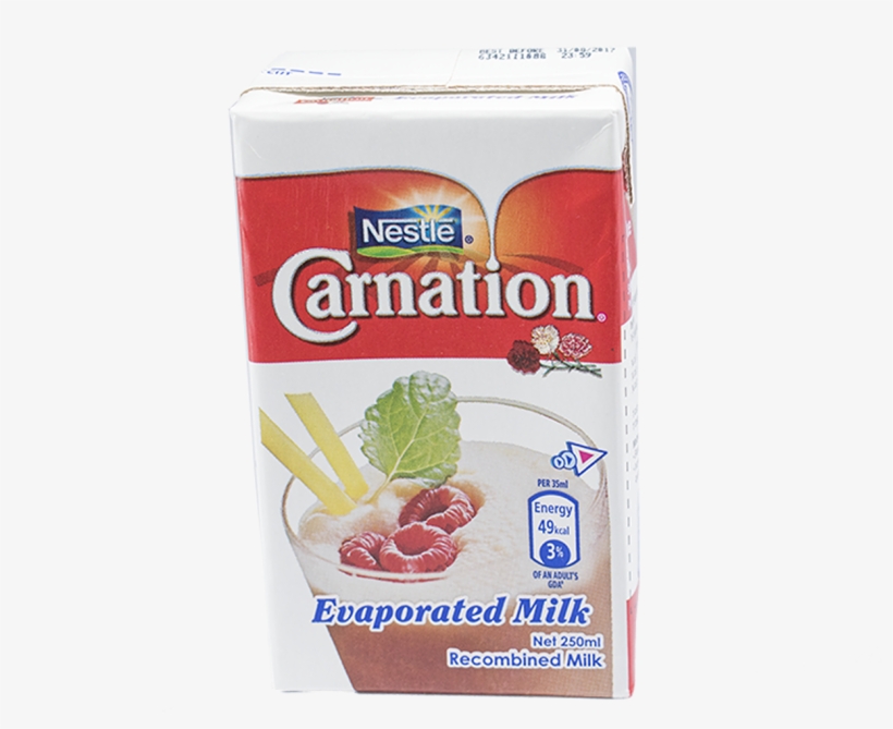 Carnation Png, transparent png