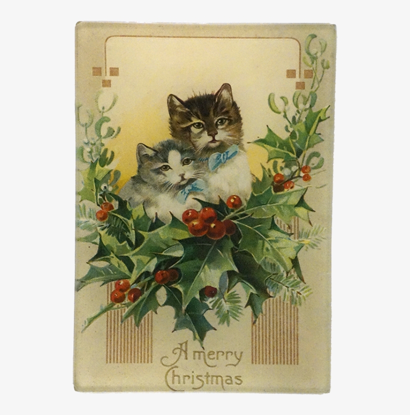 Merry Christmas Kittens, transparent png