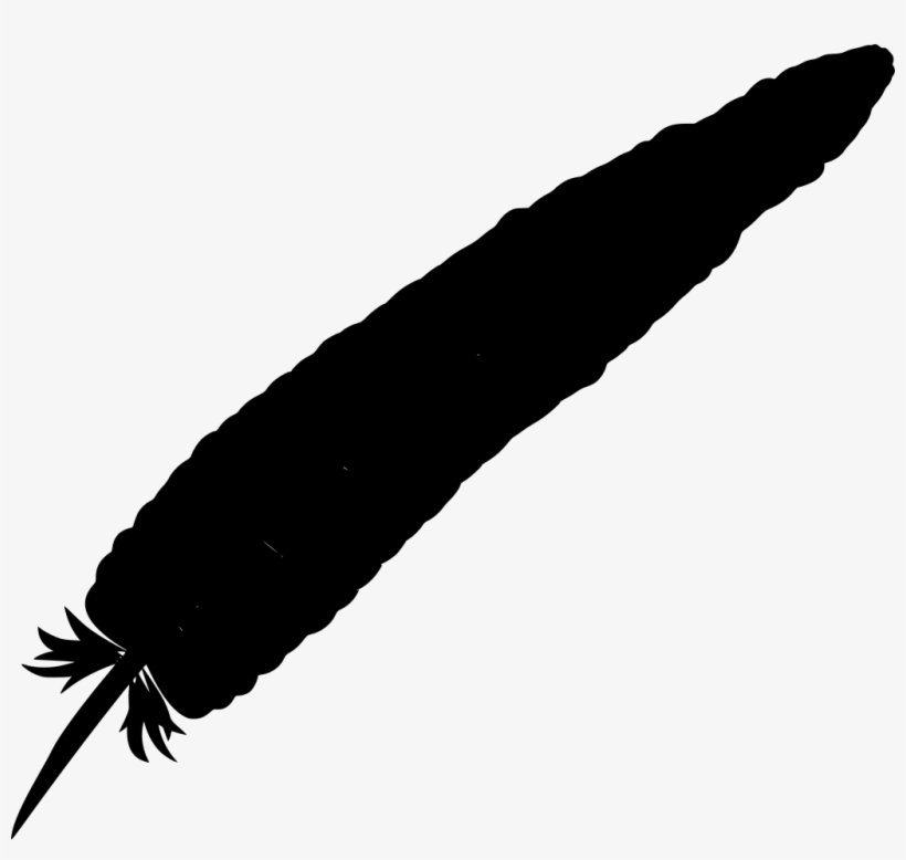 Download Png - Quill, transparent png