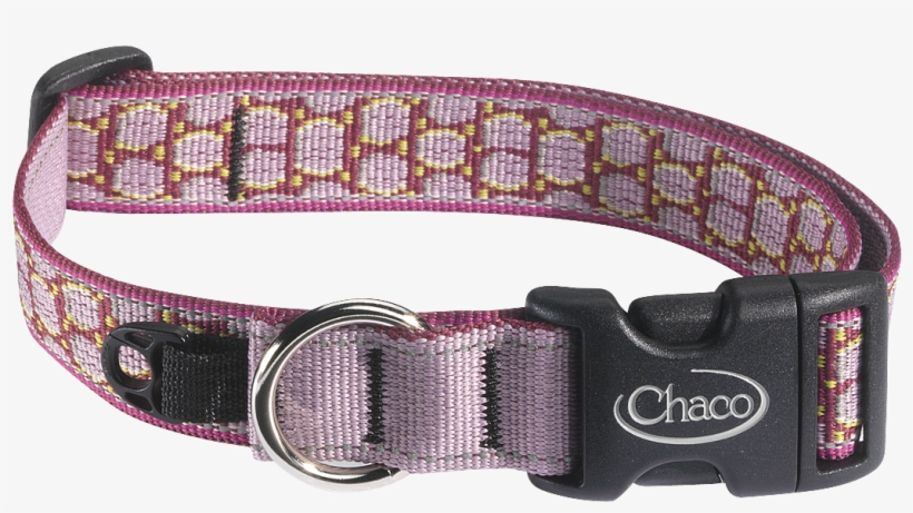 Chaco Dog Collars - Buckle, transparent png