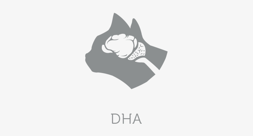 Enriched With Dha Fatty Acids Which Stimulate The Brain - Black Cat, transparent png