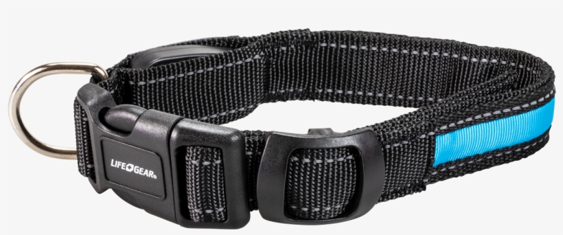 Night Walker Glow Led Usb Rechargeable Pet Collar Small - Strap, transparent png