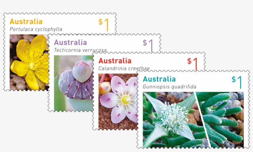 Australian Succulents Set Of Stamps - Australian Stamps 2017, transparent png