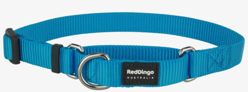 Martingale, transparent png