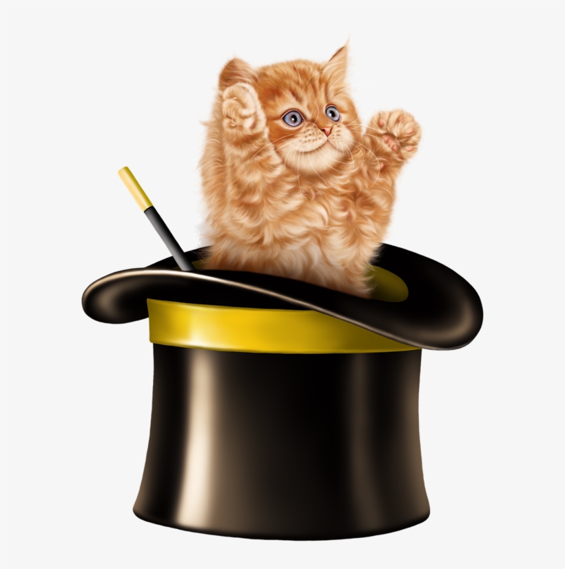 Kitten Cartoon, Kitten Images, Cats And Kittens, Tube, - Cat In Magic Hat, transparent png
