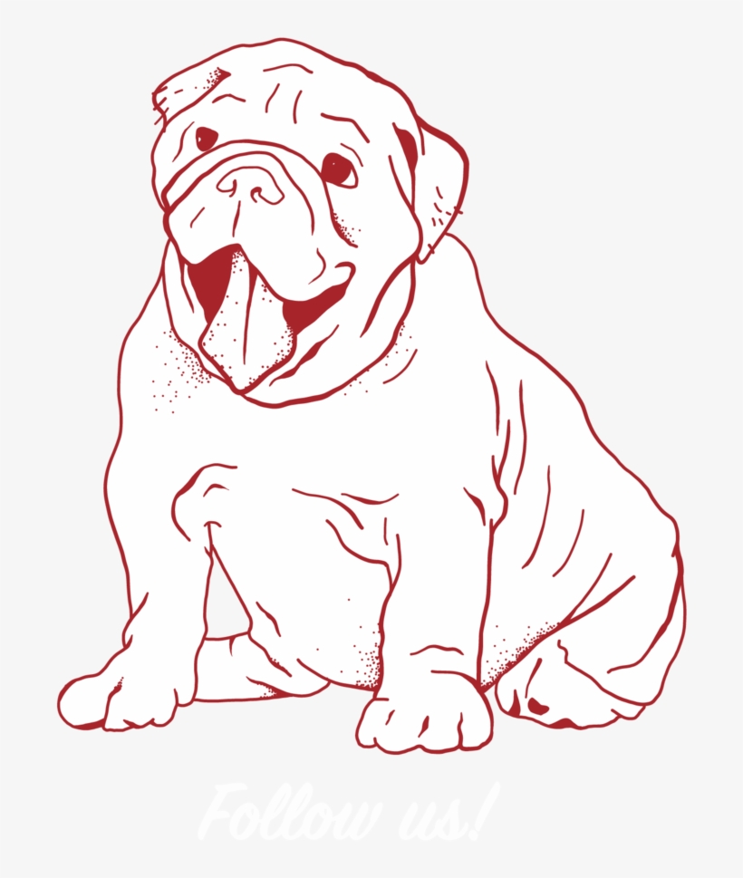 White Dog - Dog Yawns, transparent png