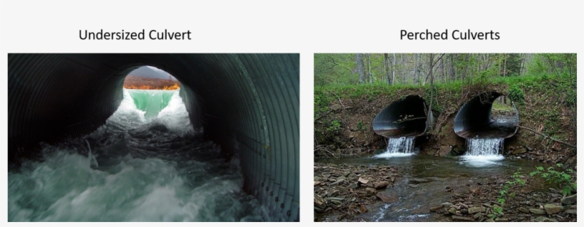 Stream Bank Restoration - Tributary, transparent png