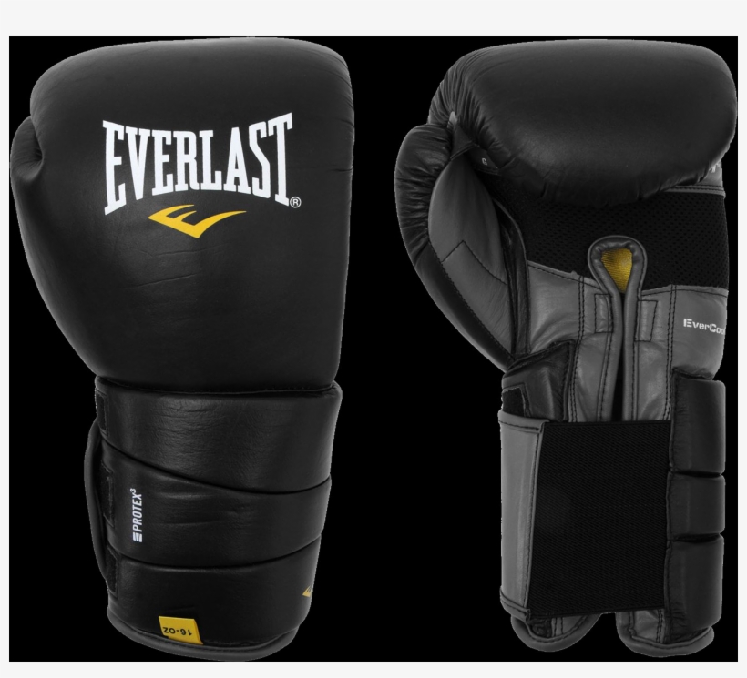 Everlast, transparent png