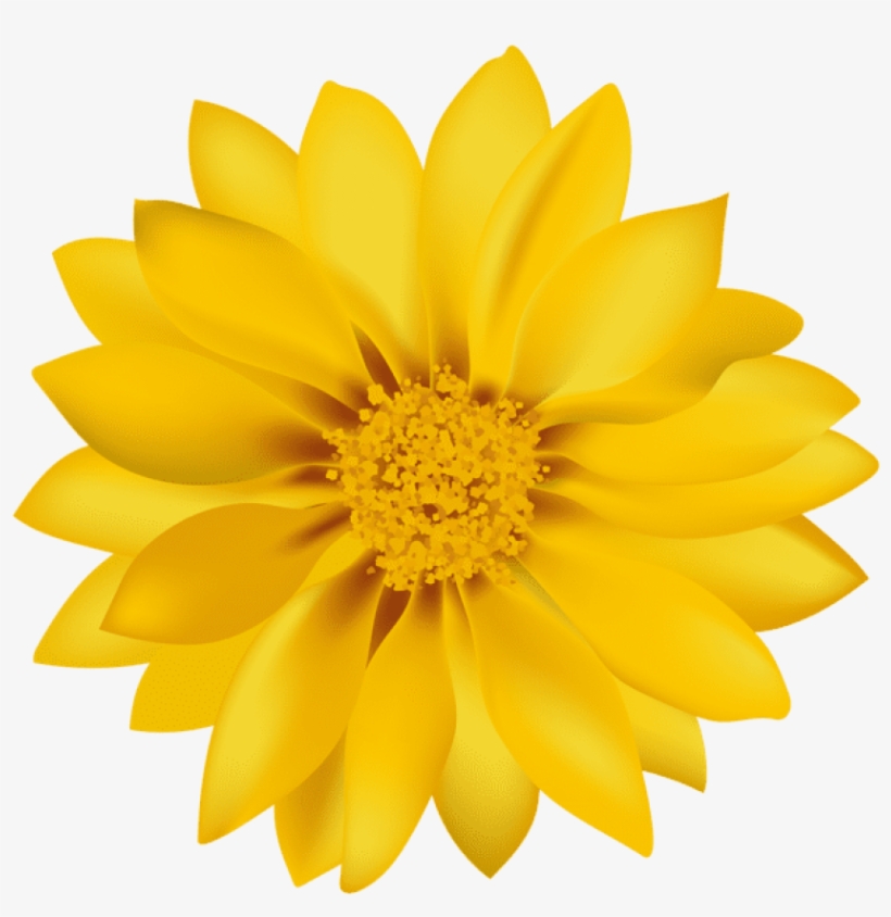 Free Png Yellow Flower Transpa Png Images Background - Flower Png, transparent png