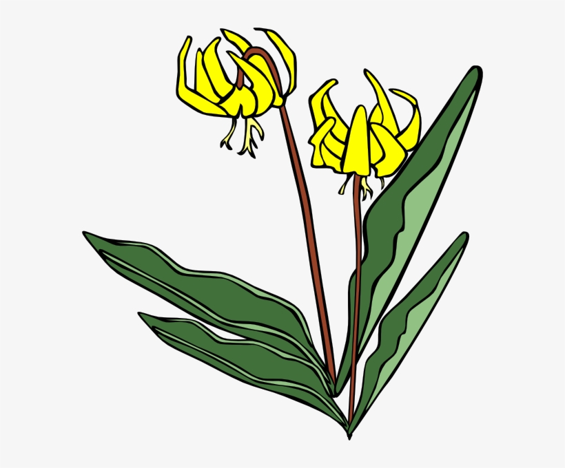 Yellow Flower Png, transparent png