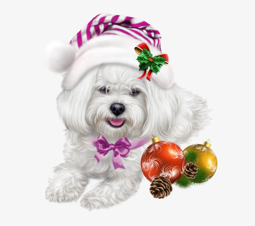 600 X 661 3 - Christmas Puppy Images Clipart, transparent png
