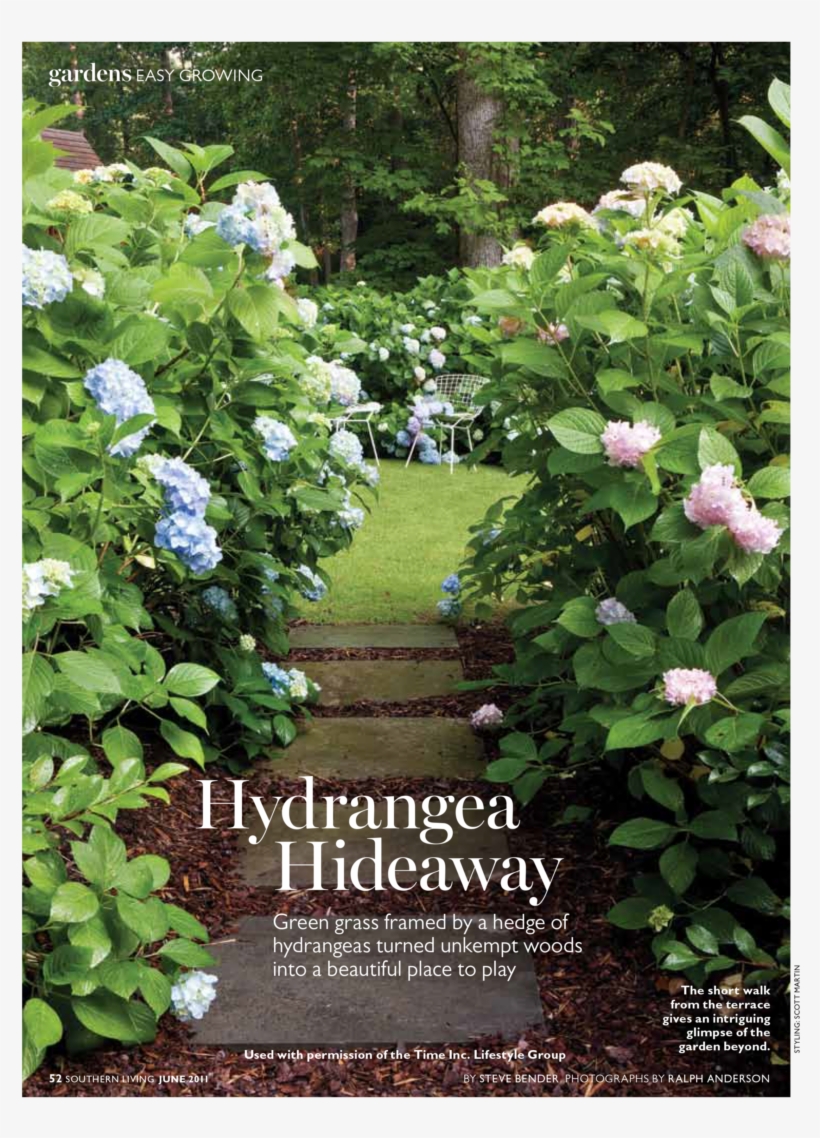 Posted On June 12, 2011 September 12, 2017 By Troy - Botanical Garden, transparent png