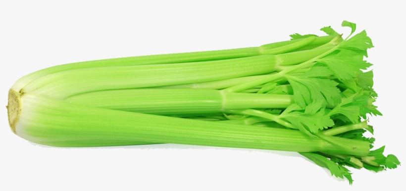Celery - Celery With White Background, transparent png