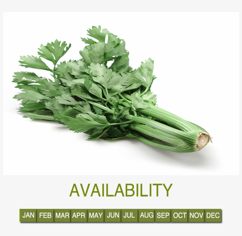 Request Information - Parsley, transparent png