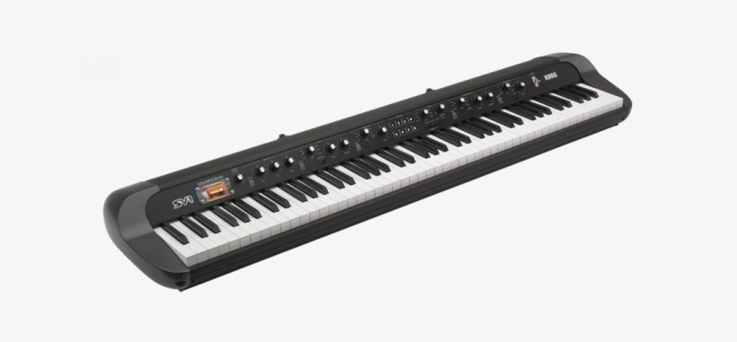More Views - Korg Sv 1, transparent png