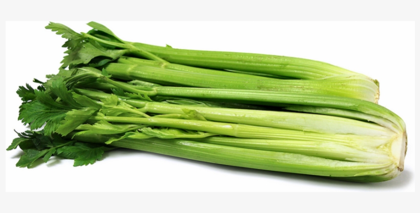 Celery, transparent png