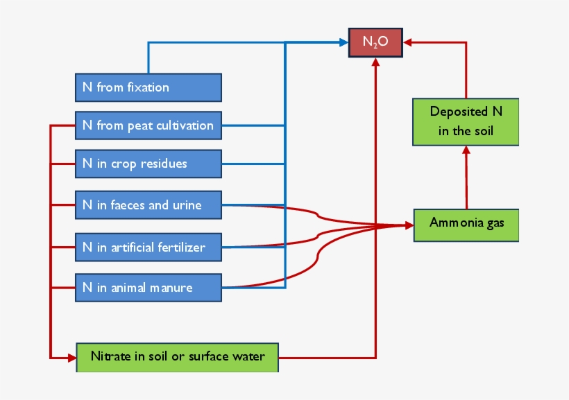 2 Schematic Overview Of Direct And Indirect (red Arrows) - Diagram, transparent png