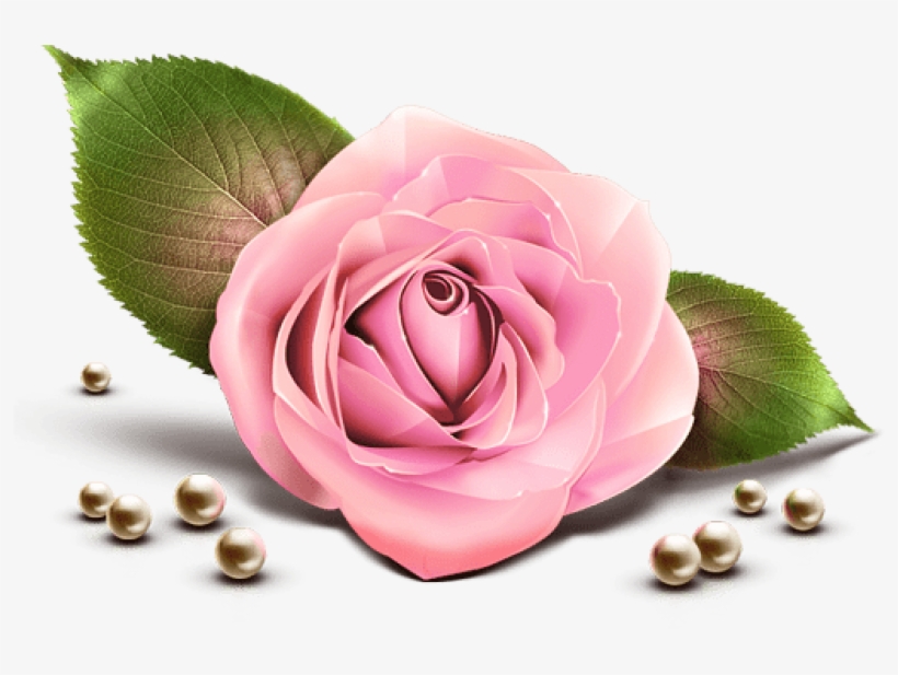 Free Png Download Pink Rose Decor Transparent Clipart - Transparent Rose Pink Png, transparent png