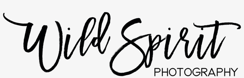 Wild Spirit Wedding - Wedding, transparent png