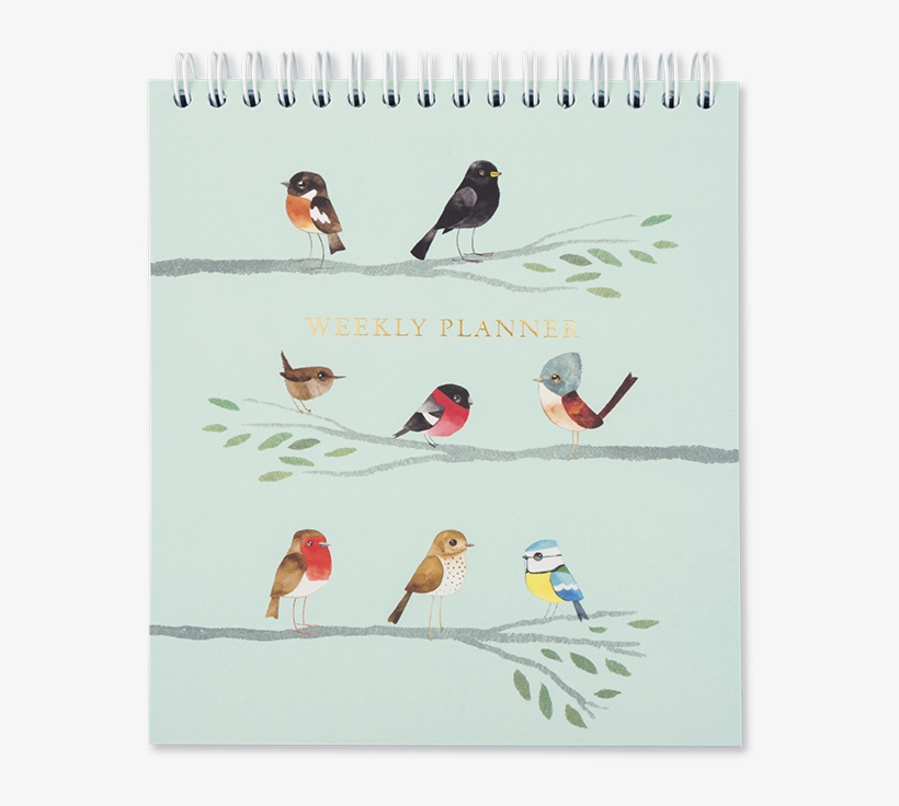 Square Weekly Planner - Our Songbirds: A Songbird For Every Week Of The Year, transparent png
