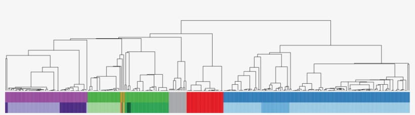 Tree 1378×317 - Diagram, transparent png