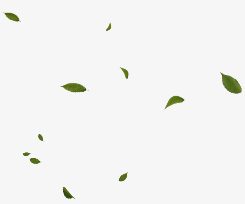 Leafs Sticker - Floating Green Leaves Png, transparent png
