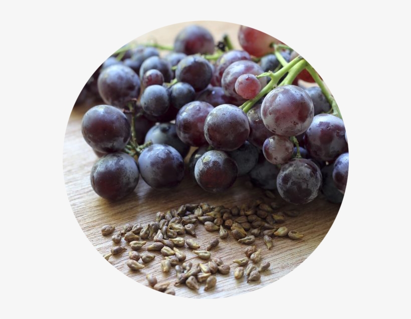 Grape Seed Oil Organic 150ml 葡萄 籽 萃取 物 597x568 PNG Download PNGkit