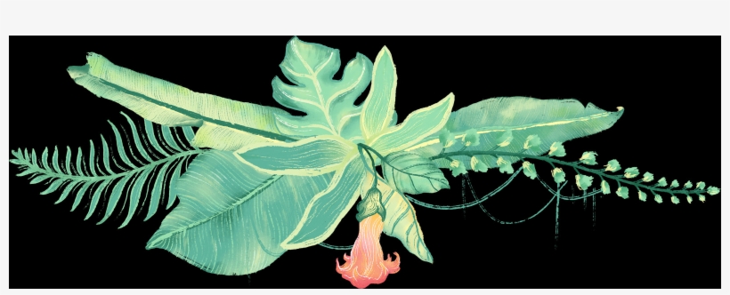 Dutchman's Pipe, transparent png