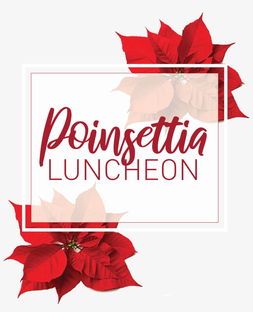 Poinsettia Front Page Website - Canadian Thanksgiving, transparent png