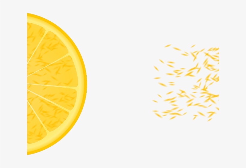 Citrus Clipart Orange Slice - Circle, transparent png